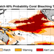 Illustration for article titled This is What a Mass Die-off of Earths Coral Reefs Looks Like
